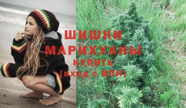 гидра Бронницы