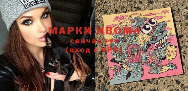 гидра Бронницы