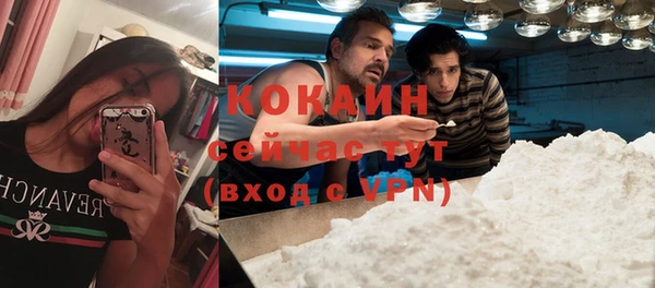 гидра Бронницы